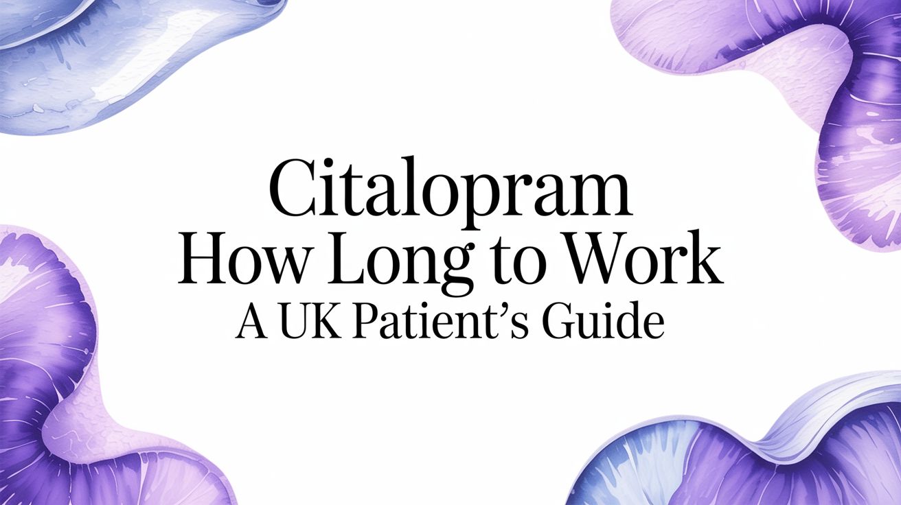 Citalopram: How Long Does It Take to Work? XO Citalopram: How Long Does It Take to Work? XO