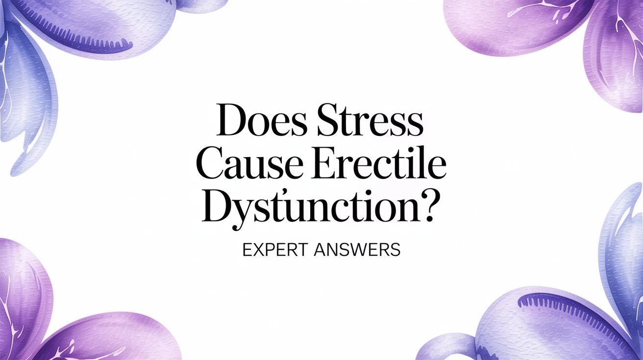 Does Stress Cause Erectile Dysfunction? Expert Answers