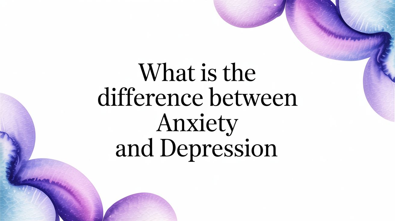 What Is The Difference Between Anxiety And Depression